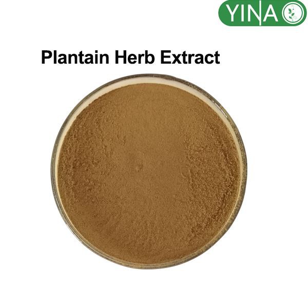 Detholiad Perlysiau Llyriad